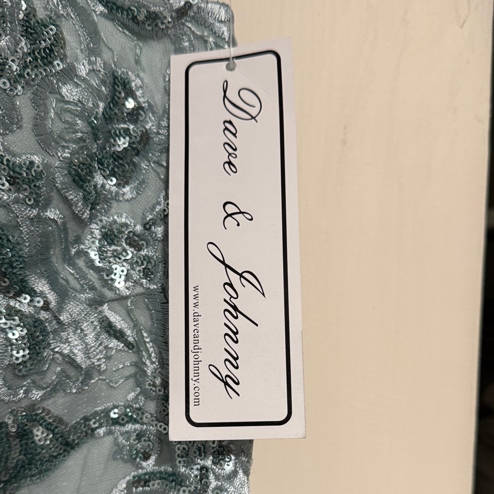 Dave & Johnny Gown in Mint - Picture 3 of 11